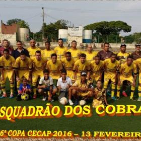 16º COPA CECAP 2016 - BOTAFOGO JAÇANÃ É  O GRANDE CAMPEÃO VENCEU POR 3 X 0 A EQUIPE DO BOM GOLE/L3  