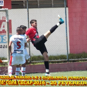 16º COPA CECAP 2016 - BOTAFOGO JAÇANÃ É  O GRANDE CAMPEÃO VENCEU POR 3 X 0 A EQUIPE DO BOM GOLE/L3  