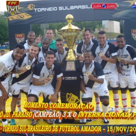 29º CAMPEONATO SULBRASILEIRO DE FUTEBOL AMADOR