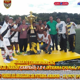 29º CAMPEONATO SULBRASILEIRO DE FUTEBOL AMADOR