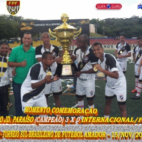 29º CAMPEONATO SULBRASILEIRO DE FUTEBOL AMADOR