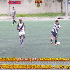 29º CAMPEONATO SULBRASILEIRO DE FUTEBOL AMADOR