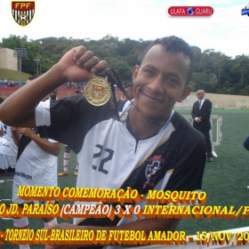 29º CAMPEONATO SULBRASILEIRO DE FUTEBOL AMADOR