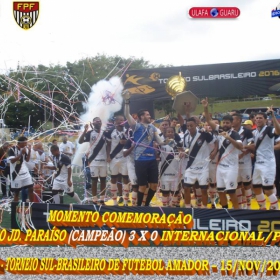 29º CAMPEONATO SULBRASILEIRO DE FUTEBOL AMADOR