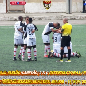 29º CAMPEONATO SULBRASILEIRO DE FUTEBOL AMADOR