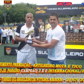 29º CAMPEONATO SULBRASILEIRO DE FUTEBOL AMADOR