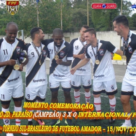 29º CAMPEONATO SULBRASILEIRO DE FUTEBOL AMADOR