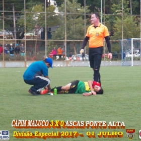 DIVISÃO ESPECIAL 2017 - CAPIM MALUCO É O CAMPEÃO - Veja em  