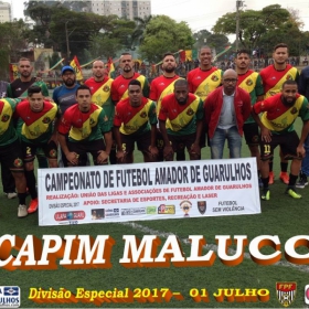 DIVISÃO ESPECIAL 2017 - CAPIM MALUCO É O CAMPEÃO - Veja em  