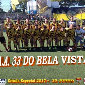 DIVISÃO ESPECIAL 2017 - CAPIM MALUCO É O CAMPEÃO - Veja em  