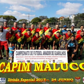 DIVISÃO ESPECIAL 2017 - CAPIM MALUCO É O CAMPEÃO - Veja em  