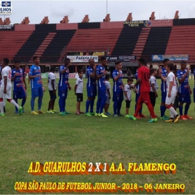 49ª COPA SÃO PAULO DE FUTEBOL JUNIOR 2018