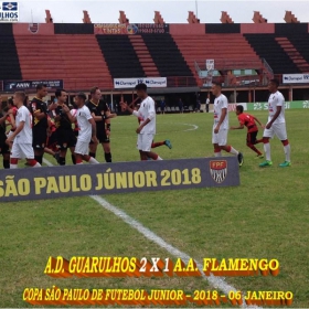 49ª COPA SÃO PAULO DE FUTEBOL JUNIOR 2018