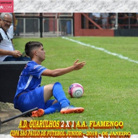 49ª COPA SÃO PAULO DE FUTEBOL JUNIOR 2018