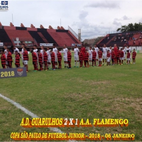 49ª COPA SÃO PAULO DE FUTEBOL JUNIOR 2018