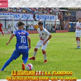 49ª COPA SÃO PAULO DE FUTEBOL JUNIOR 2018