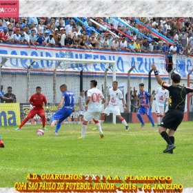 49ª COPA SÃO PAULO DE FUTEBOL JUNIOR 2018