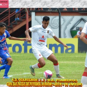 49ª COPA SÃO PAULO DE FUTEBOL JUNIOR 2018