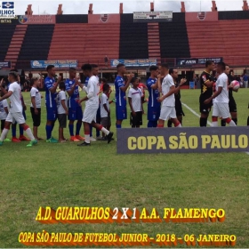 49ª COPA SÃO PAULO DE FUTEBOL JUNIOR 2018