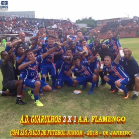 49ª COPA SÃO PAULO DE FUTEBOL JUNIOR 2018