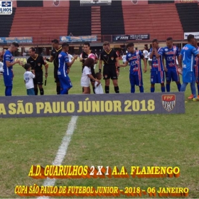 49ª COPA SÃO PAULO DE FUTEBOL JUNIOR 2018