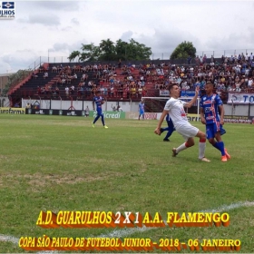 49ª COPA SÃO PAULO DE FUTEBOL JUNIOR 2018