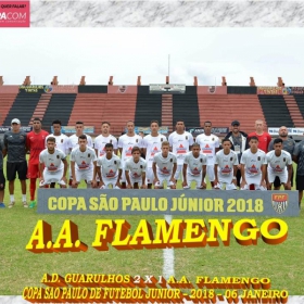 49ª COPA SÃO PAULO DE FUTEBOL JUNIOR 2018