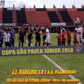 49ª COPA SÃO PAULO DE FUTEBOL JUNIOR 2018