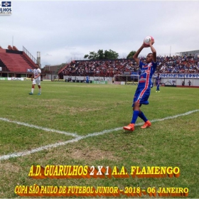 49ª COPA SÃO PAULO DE FUTEBOL JUNIOR 2018