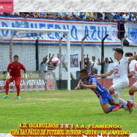 49ª COPA SÃO PAULO DE FUTEBOL JUNIOR 2018