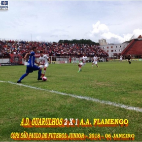 49ª COPA SÃO PAULO DE FUTEBOL JUNIOR 2018