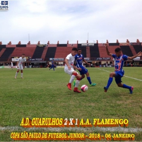 49ª COPA SÃO PAULO DE FUTEBOL JUNIOR 2018