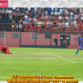 49ª COPA SÃO PAULO DE FUTEBOL JUNIOR 2018