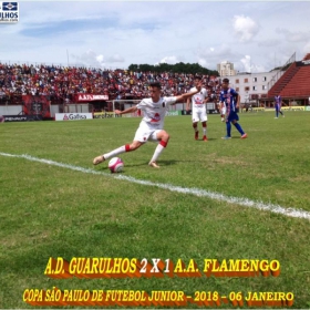 49ª COPA SÃO PAULO DE FUTEBOL JUNIOR 2018