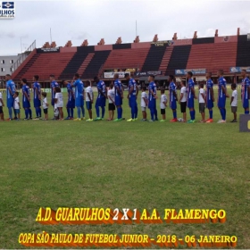 49ª COPA SÃO PAULO DE FUTEBOL JUNIOR 2018