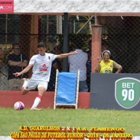 49ª COPA SÃO PAULO DE FUTEBOL JUNIOR 2018