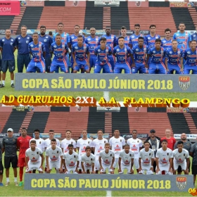 49ª COPA SÃO PAULO DE FUTEBOL JUNIOR 2018