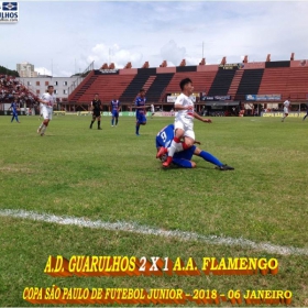 49ª COPA SÃO PAULO DE FUTEBOL JUNIOR 2018