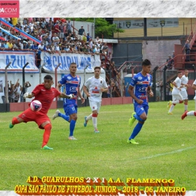 49ª COPA SÃO PAULO DE FUTEBOL JUNIOR 2018