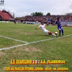 49ª COPA SÃO PAULO DE FUTEBOL JUNIOR 2018