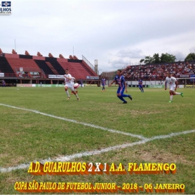 49ª COPA SÃO PAULO DE FUTEBOL JUNIOR 2018