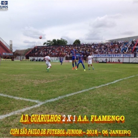 49ª COPA SÃO PAULO DE FUTEBOL JUNIOR 2018