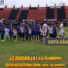 49ª COPA SÃO PAULO DE FUTEBOL JUNIOR 2018