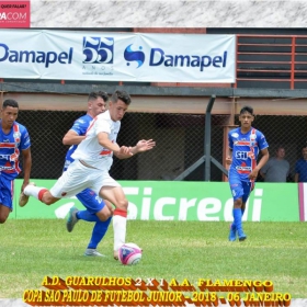 49ª COPA SÃO PAULO DE FUTEBOL JUNIOR 2018