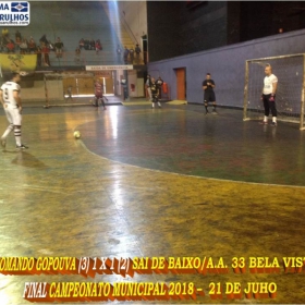  LIGA GUARULHENSE DE FUTSAL - COMANDO GOPOUVA -CAMPEÃO