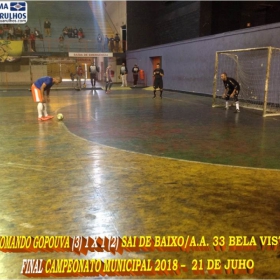  LIGA GUARULHENSE DE FUTSAL - COMANDO GOPOUVA -CAMPEÃO