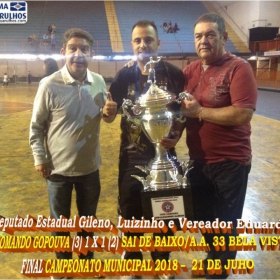  LIGA GUARULHENSE DE FUTSAL - COMANDO GOPOUVA -CAMPEÃO