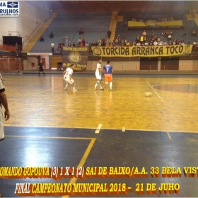  LIGA GUARULHENSE DE FUTSAL - COMANDO GOPOUVA -CAMPEÃO