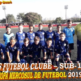 COPA MERCOSUL 2019