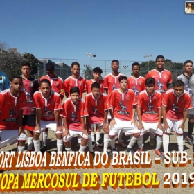 COPA MERCOSUL 2019